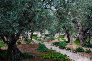 tours and travel israel