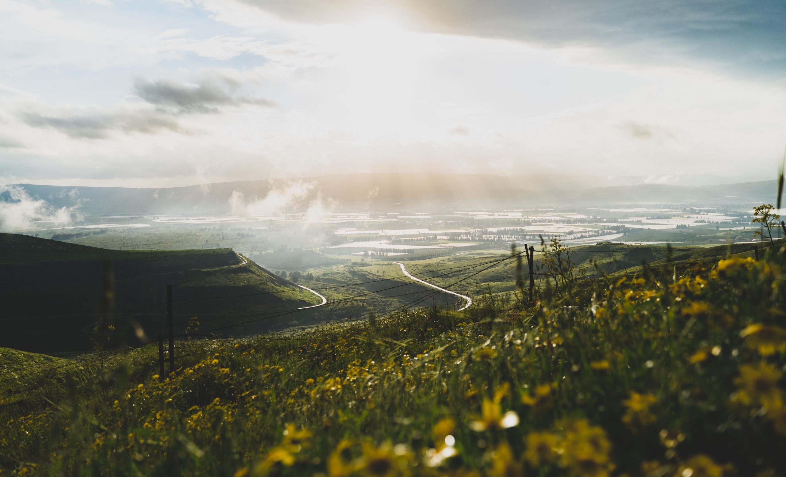 Golan Heights