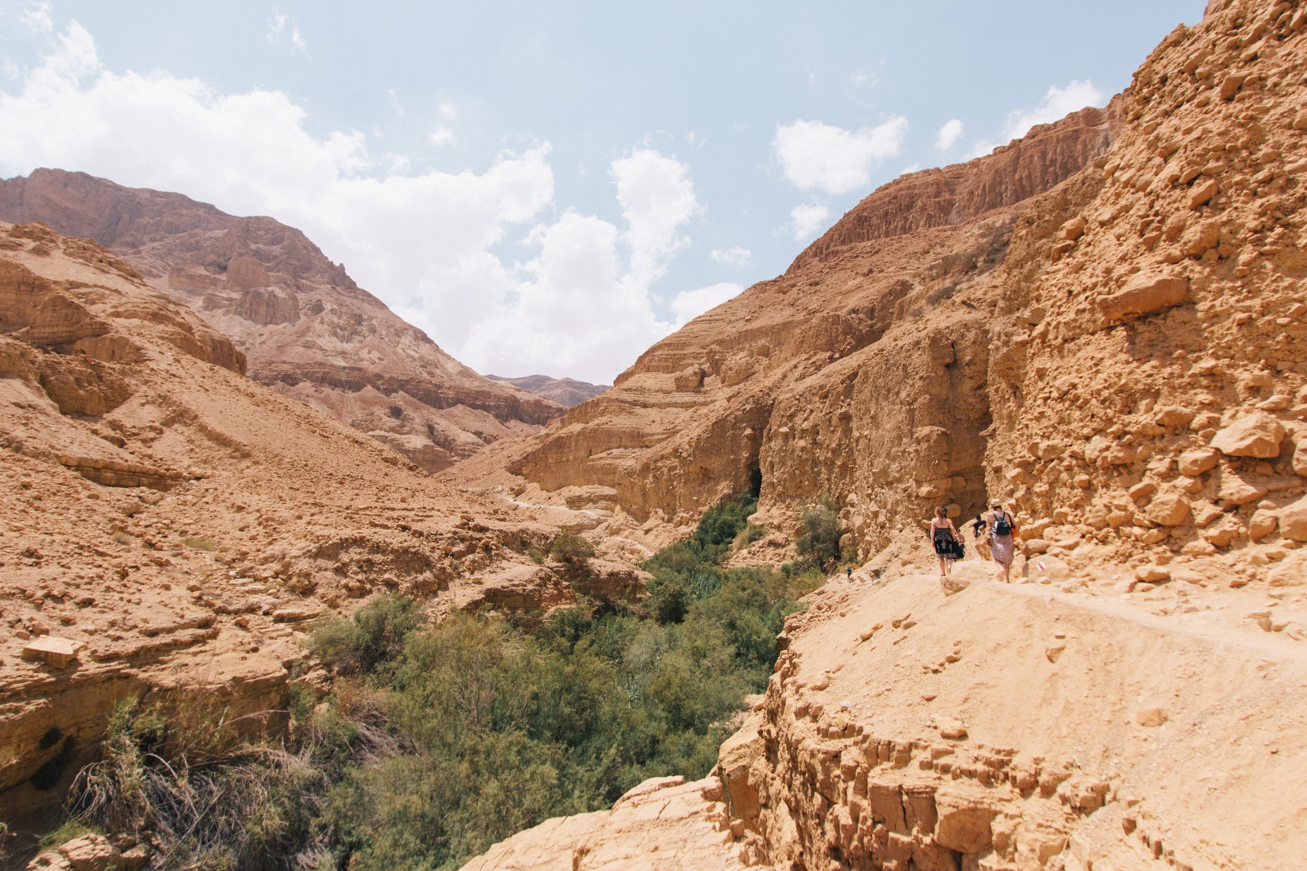 Ein Gedi